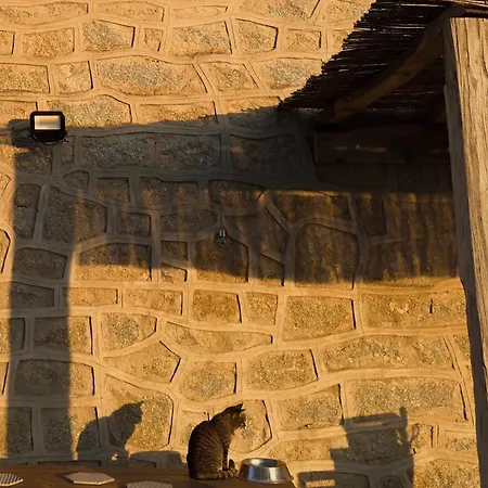 בית נופש Maison De Maitre En Pierre De 1831 Avec Vue Sur La A פורטיסיו