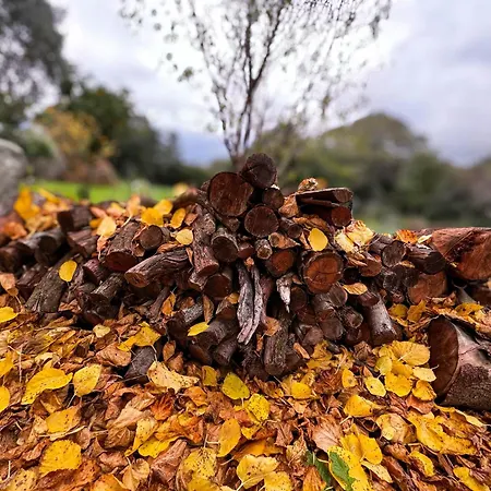 Maison De Maitre En Pierre De 1831 Avec Vue Sur La A Tatil Evi *