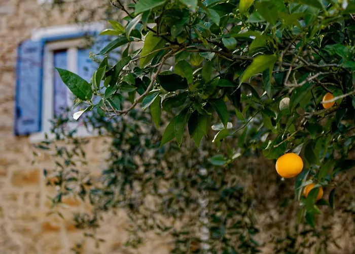 Maison De Maitre En Pierre De 1831 Avec Vue Sur La A *