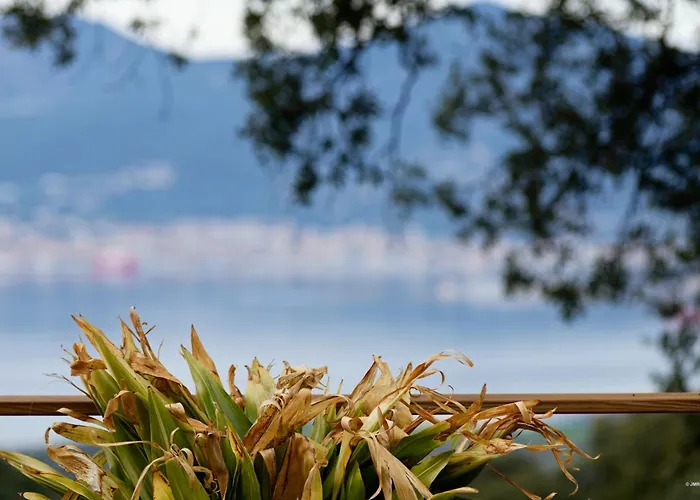 Tatil Evi Maison De Maitre En Pierre De 1831 Avec Vue Sur La A *