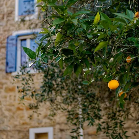 Maison De Maitre En Pierre De 1831 Avec Vue Sur La A *