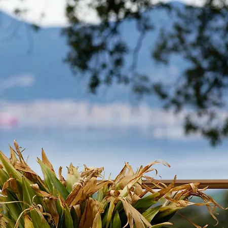 Semesterbostad Maison De Maitre En Pierre De 1831 Avec Vue Sur La A *