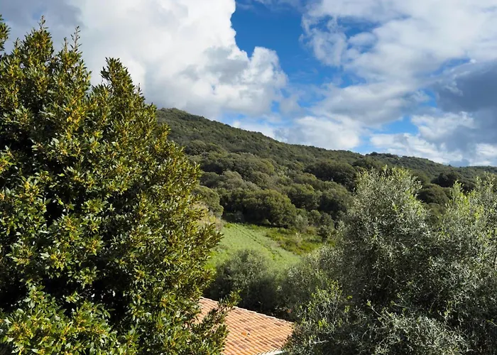 Maison De Maitre En Pierre De 1831 Avec Vue Sur La A בית נופש