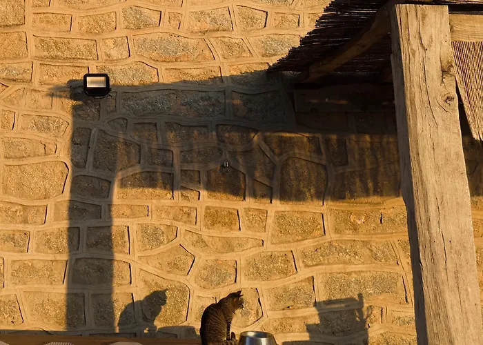 בית נופש Maison De Maitre En Pierre De 1831 Avec Vue Sur La A פורטיסיו