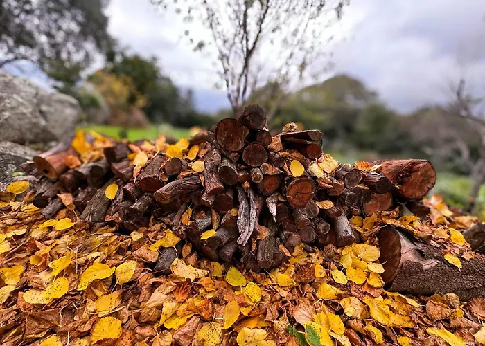 Maison De Maitre En Pierre De 1831 Avec Vue Sur La A בית נופש *